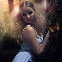 Пазл: Зачарованная 