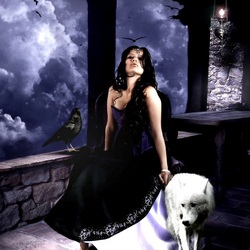 Пазлы на тему «Peroni68»