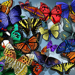 Пазл: Бабочки