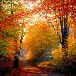 Пазл: Осень