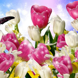 Пазл: Цветы и бабочка