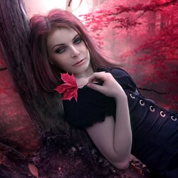 Пазл: В лесу