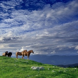 Пазл: Между небом и землей