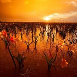 Пазл: Природа Намибии