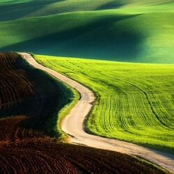 Пазл: Поля Тосканы