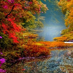 Пазл: Осенний перезвон