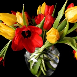 Пазл: Букет тюльпанов