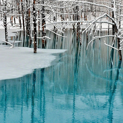 Пазл: Хоккайдо, Япония