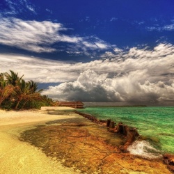 Пазл: Дикий пляж