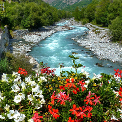 Пазл: Горная река