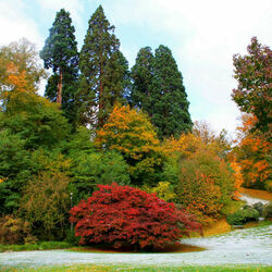 Пазл: Краски осени