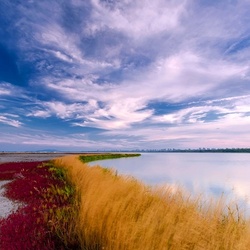Пазл: Палитра природы
