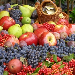 Пазл: Богатый урожай