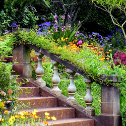 Пазл: Ступеньки