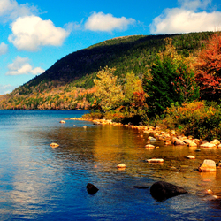 Пазл: Камушки