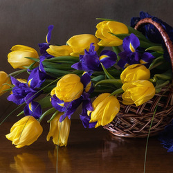 Пазл: Тюльпаны и ирисы в корзине
