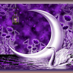 Пазл: Фиолетовая ночь