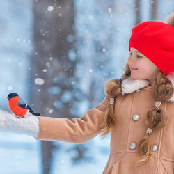 Пазл: Снегирь