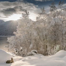 Пазл: Зимние сугробы