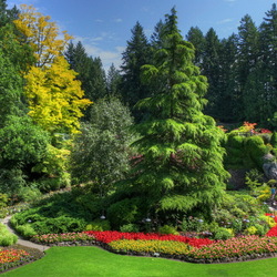 Пазл: Парк королевы Елизаветы в Ванкувере