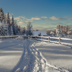 Пазл: Под белым покрывалом января