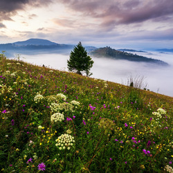 Пазл: Горный склон