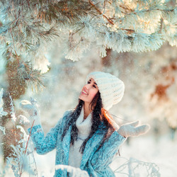 Пазл: Снежный лес