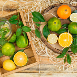 Пазл: Цитрусы