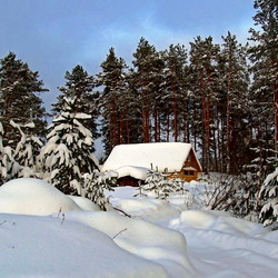 Пазл: Замела метель дороги