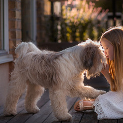 Пазл: Друзья