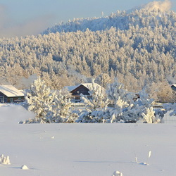 Пазл: Вокруг всё белым-бело