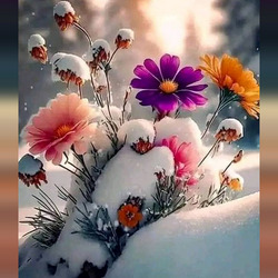 Пазл: Цветы под снегом