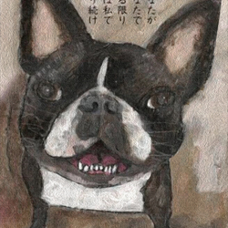 Пазл: Собачка