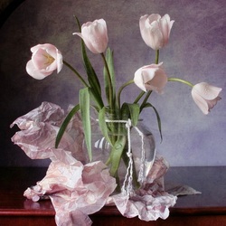 Пазл: Тюльпаны 