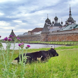 Пазл: Вид на Соловецкий монастырь