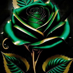 Пазл: Зелёная роза