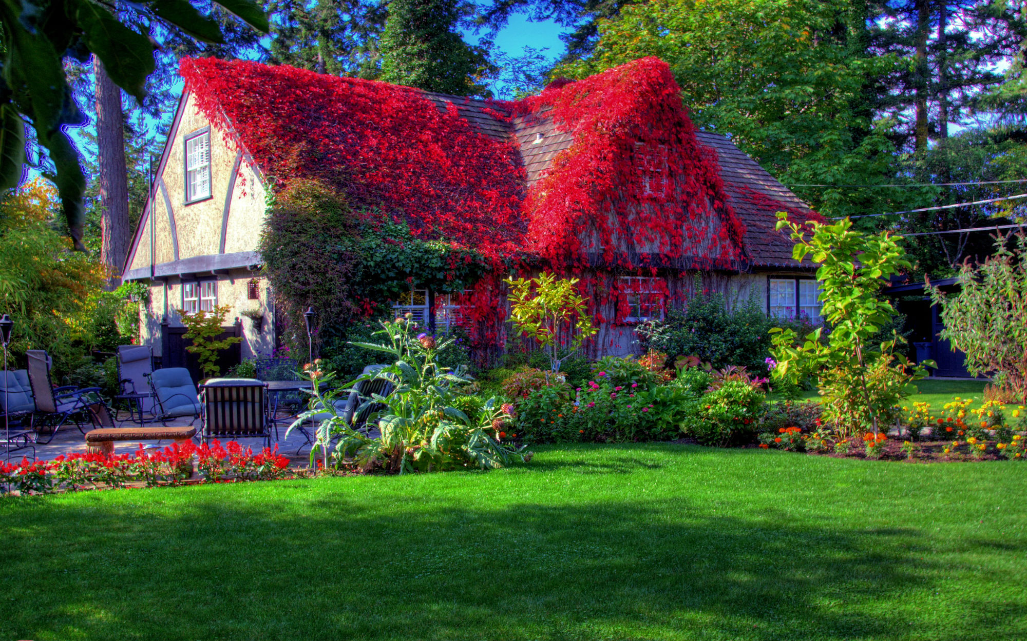 Красивый домик с садом