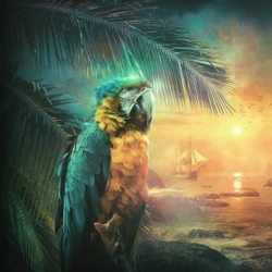 Пазл: Попугай