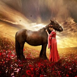 Пазл: Дружба