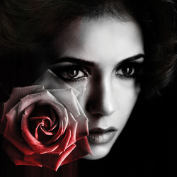 Пазл: Елена Гилберт