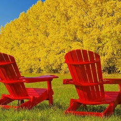 Пазл: Перед золотым ковром