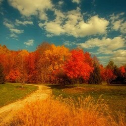 Пазл: Осень в парке