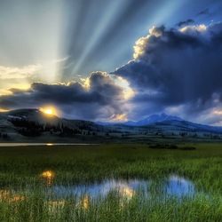 Пазл: Заливной луг