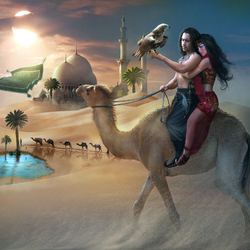 Пазл: Восточная любовь