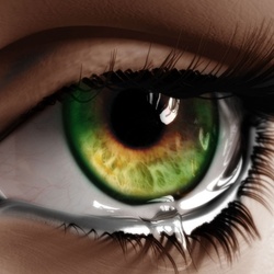 Пазл: Слеза