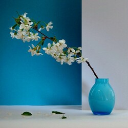 Пазл: Натюрморт в сине-белом