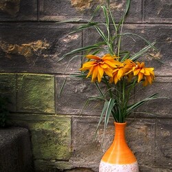 Пазл: Желтые цветы