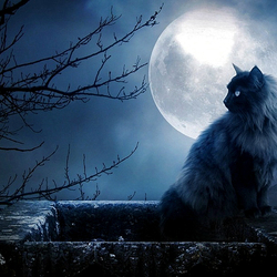 Пазл: Мистческая ночь