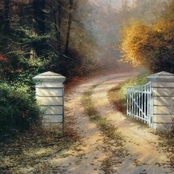 Пазл: Тропинка в лесу