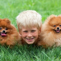 Пазл: Два рыжика и белобрысик